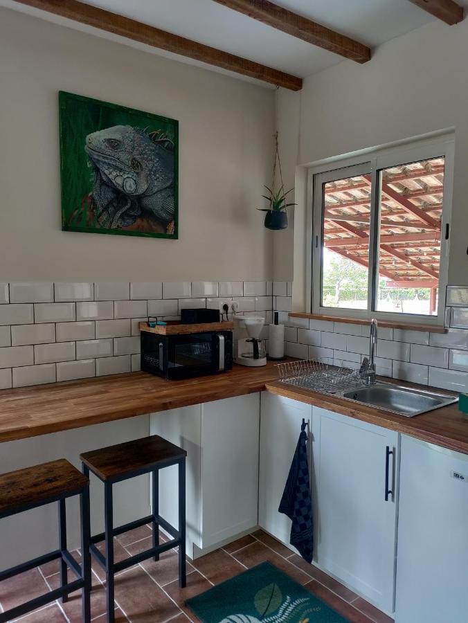 Chez Chapelle In The Heart Of The Gascony With Pool And Hot Tub Apartment Auch Exterior photo